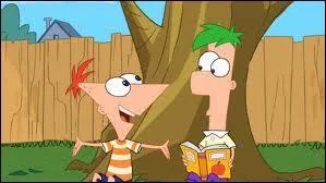 Ferb est le ...