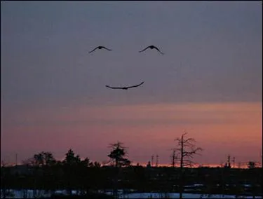 Un sourire qui tombe du ciel ! Qui est la desse gyptienne du ciel ?