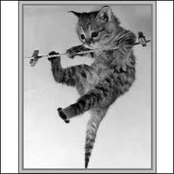 Il pleut des cordes ! Il s'agit d'une commune dans le dpartement du Tarn :