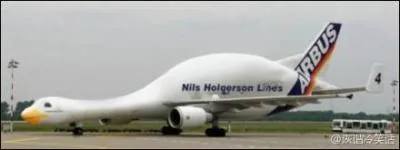 Les pilotes, cessez vos prises de bec ! Henri Mignet inventa un petit avion en 1934. Il le baptisa :