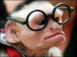 lves, si vous trouvez la bonne rponse, a veut dire que vous avez du flair ! C'est un manga d'Haruhiko Mikimoto ressemblant au mythique  Gundam  :