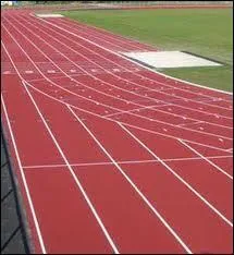 A quel sport appartient ce terrain ?