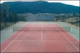 A quel sport appartient ce terrain ?