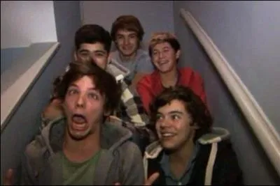 Qui est la personne que Louis nous a prsent dans les vidos dia-ries ?