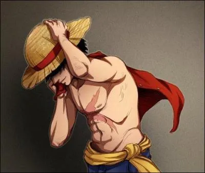 O est n Luffy ?