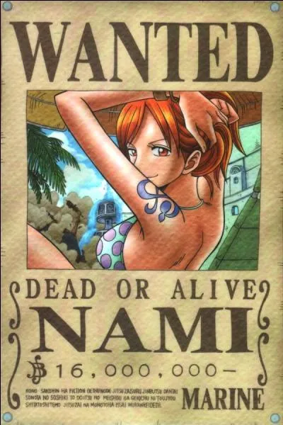 Quelle est la prime de Nami ?