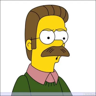 De quelle couleur le pantalon de Ned Flanders est-il ?
