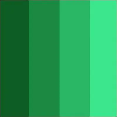 Dans quel cas met-on un trait d'union aux adjectifs de couleur composs ? Relevez la proposition fautive.