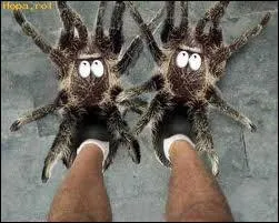 Ces  chaussons  plutt ralistes sont peut-tre un bon moyen... ?