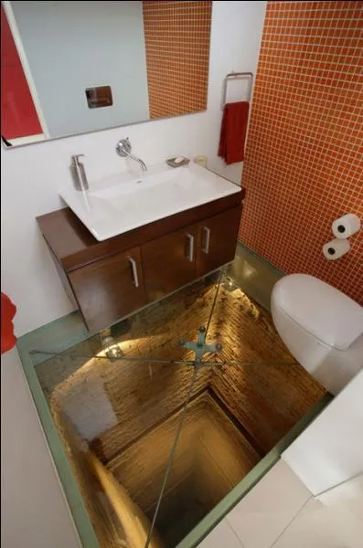 Dans cette maison, mieux vaut ne pas tre impressionnable. En effet, le sol de la salle de bain est transparent et donne sur... ?