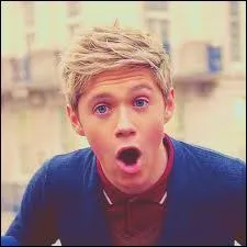 Comment s'appelaient les deux poissons de Niall ?