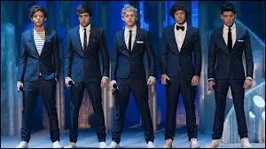 Dans quelle mission les One Direction ont-ils fait une apparition ?