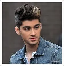 Qui a fait la mche blonde de Zayn ?