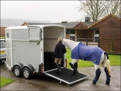 Transporter ! Le cheval ne doit pas porter de longe (de licol) pendant le voyage.