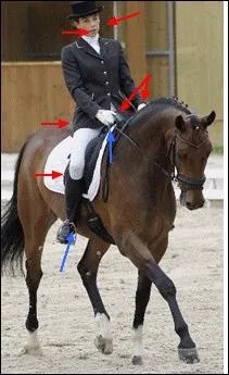 Les aides ! Quelle est la bonne liste des aides naturelles ?