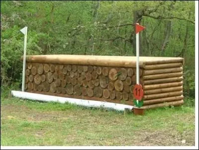 Obstacles ! Quel est le nom de cet obstacle ?