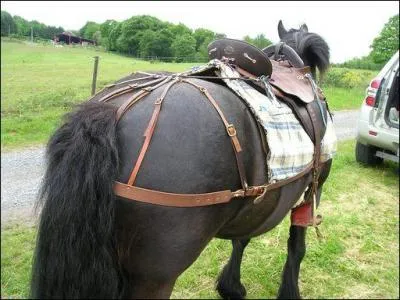 Quel est l'usage principal d'une croupire ?