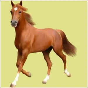 Quelle robe fait partie de la famille des alezans ?