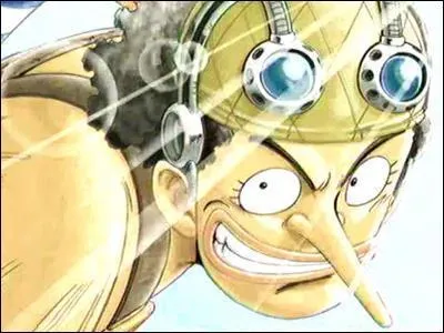Sur quels avis de recherche apparat Usopp ?