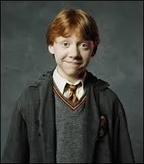 Je suis le meilleur ami de Harry Potter ...