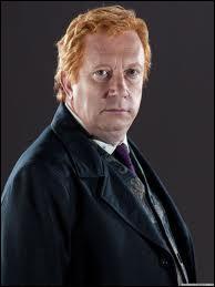 Je suis le pre de la famille Weasley ...