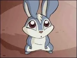 Comment s'appelle le lapin de Bloom ?