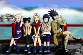 Je matrise le Suiton :