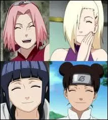 J'ai fait partie de l'quipe ayant pour but de ramener Sasuke au village :