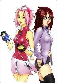 Sasuke a t mon partenaire :