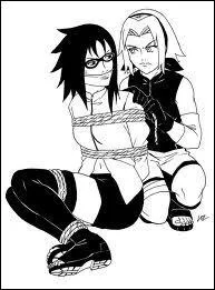 Je fus  prsente  au conseil des 5 Kages :