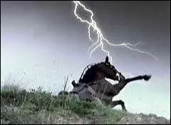 Dans un pisode de la saison 1, quel cheval se cabre parce qu'il a peur de l'orage ?