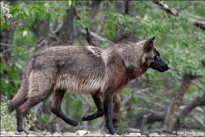 Trouvez cette expression, synonyme de  tombe du jour  !