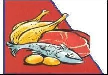 Parmi ces quatre aliments, lesquels apportent des protines animales ?