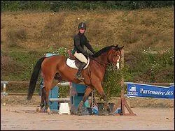 Aprs la sonnerie, de combien de temps le cavalier dispose-t-il pour franchir la ligne de dpart ?