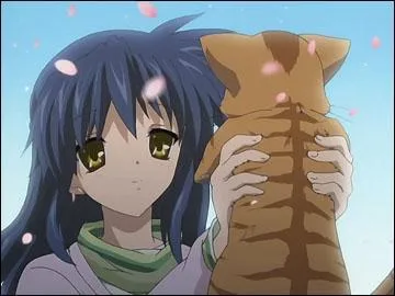 Le garon qu'aime Misae :