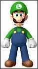 Que faut-il faire pour jouer avec Luigi dans  New Super Mario Bros  sur DS ?