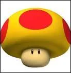 Dans  Mario Kart Wii ,  quoi sert cet objet ?