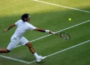 Quiz 81- Spcialistes du tennis sur gazon !