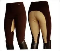 Quels sont les quipements obligatoires du cavalier ?