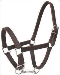 Quel matriel est reprsent sur la photo ?