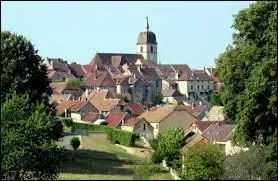 Pour finir, nous partons  Villersexel ( Haute-Sane ). La commune est chef-lieu ...