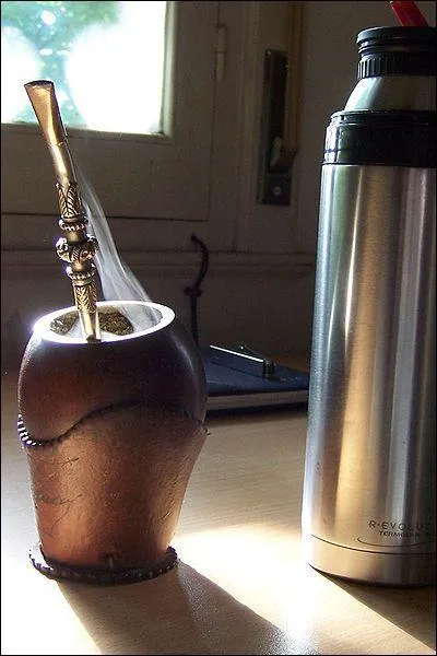 Infusion traditionnelle stimulante, consomme en Argentine, elle symbolise l'hospitalit des gauchos qui la boivent, l'un aprs l'autre, dans une calebasse, grce  une paille, la bombilla. Elle aiderait  supporter le froid de l'hiver. C'est le... (1 rponse)