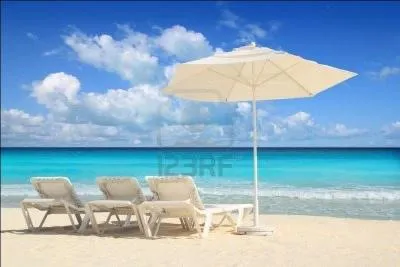 Vous n'avez pas de limonade. Alors, dgustez cette boisson  base de sirop de grenadine additionn de soda  l'orange. C'est un... (2 rponses)