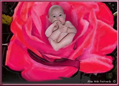 Vous avez plutt envie d'une boisson  base de lait. Celle-ci, compose de sirop de grenadine et de lait, vous conviendra parfaitement. C'est un... 1 rponse)