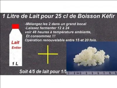 Ce breuvage, connu des tribus nomades du Caucase depuis la haute Antiquit, est un lait ferment ptillant. En tant que probiotique, il a une bonne influence sur la sant. C'est le... (2 rponses)