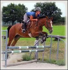 Quelle est cette race ?