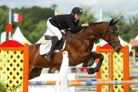 Quiz Chevaux
