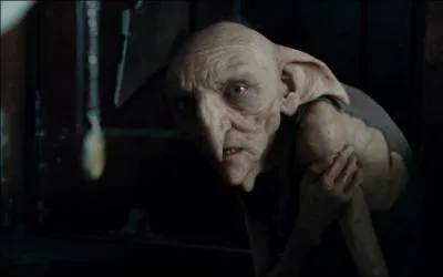 Comment s'appelle l'elfe de maison de la famille Black ?