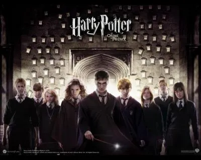 Comment s'appelle le groupe que Harry a fond ?