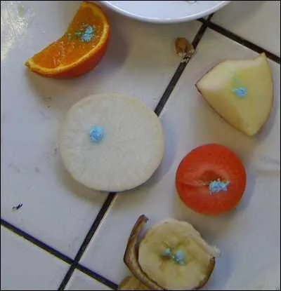 Comment dtecte-t-on la prsence d'eau dans une substance ?